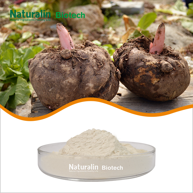 Konjac Extract Powder